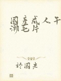 国产成人午夜高潮毛片封面