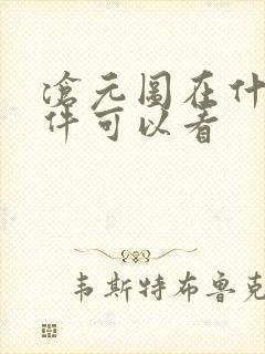 沧元图在什么软件可以看