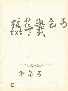 校花与乞丐小说txt下载封面