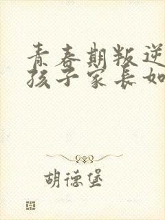 青春期叛逆期男孩子家长如何沟通