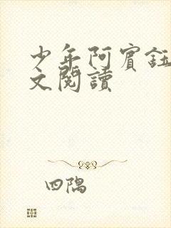 少年阿宾钰慧全文阅读