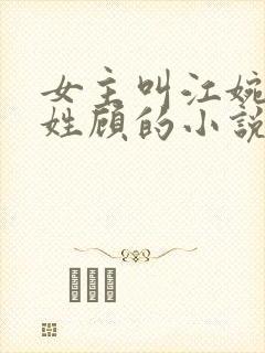 女主叫江婉男主姓顾的小说