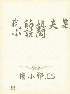 我的姐夫是太子小说阅