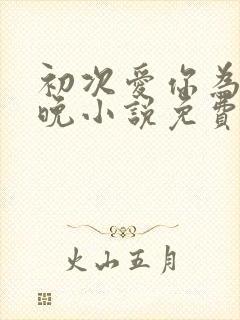 初次爱你为时不晚小说免费阅读