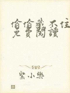 偷偷藏不住正版免费阅读