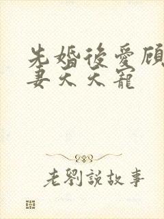 先婚后爱顾少娇妻天天宠