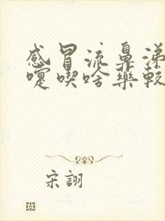 感冒流鼻涕打喷嚏吃啥药较果最好