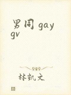 男同 gay gv