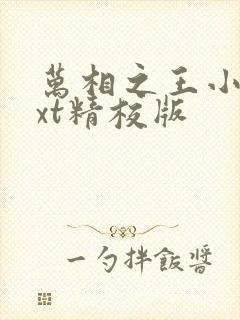 万相之王小说txt精校版