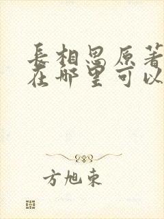 长相思原著小说在哪里可以看