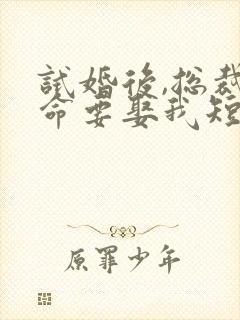 试婚后,总裁玩命要娶我短剧全集免费