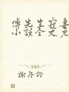 傅先生宠妻无度小说全文免费阅读封面