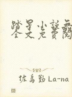 踏星小说无弹窗全文免费阅读