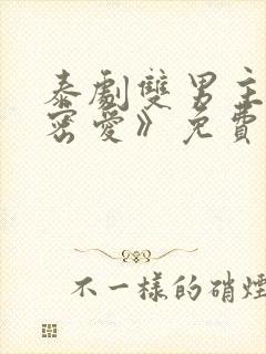 泰剧双男主《秘密爱》免费观看