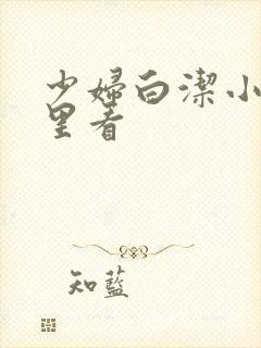 少妇白洁小说哪里看