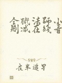 全职法师小说未删减在线看