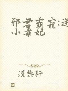 邪君霸宠:逆天小毒妃