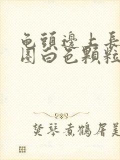 龟头边上长了一圈白色颗粒