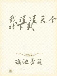 武道凌天全本txt下载封面