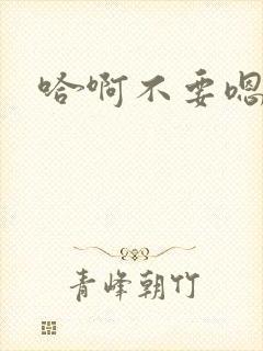 哈啊不要嗯啊封面