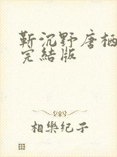 靳沉野唐栖雾已完结版