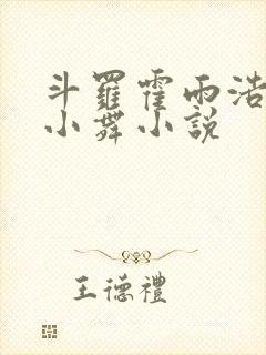 斗罗霍雨浩催眠小舞小说