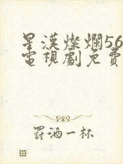 星汉灿烂56集电视剧免费看全集