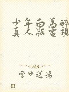 少年白马醉春风真人版电视剧17集