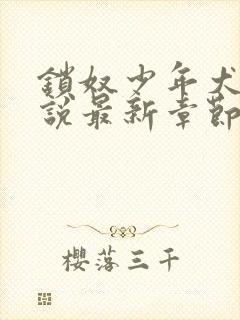 锁奴少年犬化小说最新章节更新时间