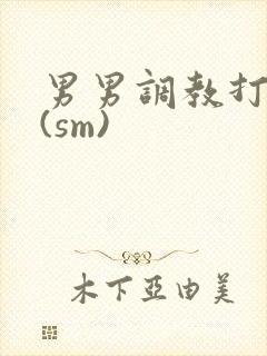 男男调教打屁股(sm)