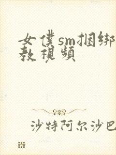 女仆sm捆绑调教视频