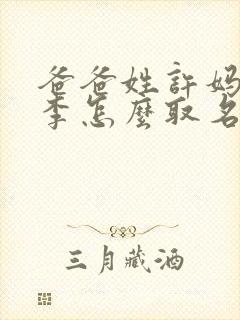 爸爸姓许妈妈姓李怎么取名