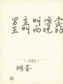 男主叫傅念琛女主叫向晚的小说