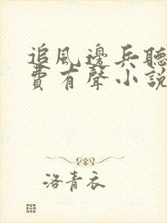 追风边兵听书免费有声小说