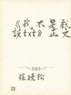 《我不是戏神小说txt》正文封面