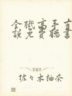 全职高手有声小说免费听书