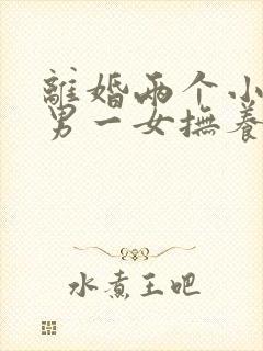 离婚两个小孩一男一女抚养权怎么判定