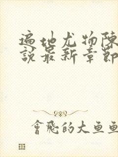 遍地尤物陈功小说最新章节阅读