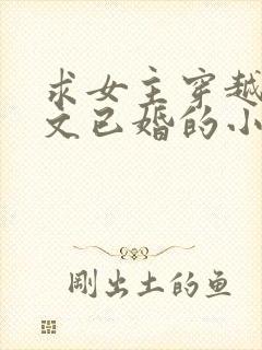 求女主穿越年代文已婚的小说