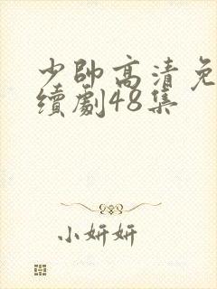 少帅高清免费连续剧48集