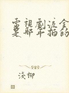 电视剧流金岁月是哪年拍的