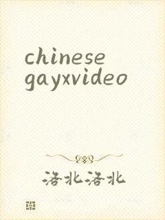 chinesegayxvideo