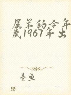 属羊的今年多少岁1967年出生