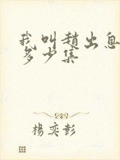 我叫赵出息总共多少集