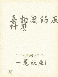 长相思的原著叫什么
