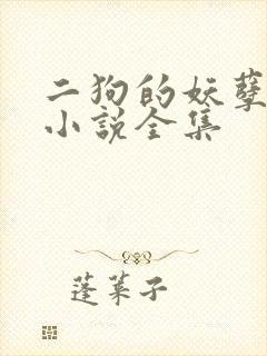 二狗的妖孽人生小说全集