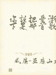 你说把爱渐渐放下是哪首歌的歌词封面