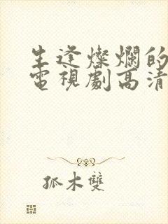 生逢灿烂的日子电视剧高清免费观看封面