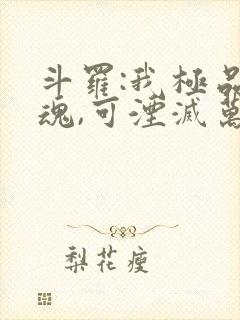 斗罗:我极品武魂,可湮灭万物