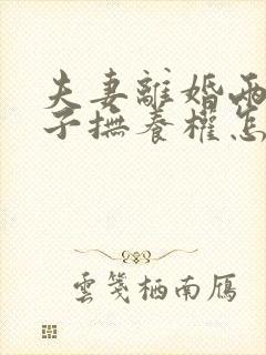 夫妻离婚两个儿子抚养权怎么判定